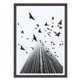 Fotografia in Bianco e Nero - In Fuga da Wall Street